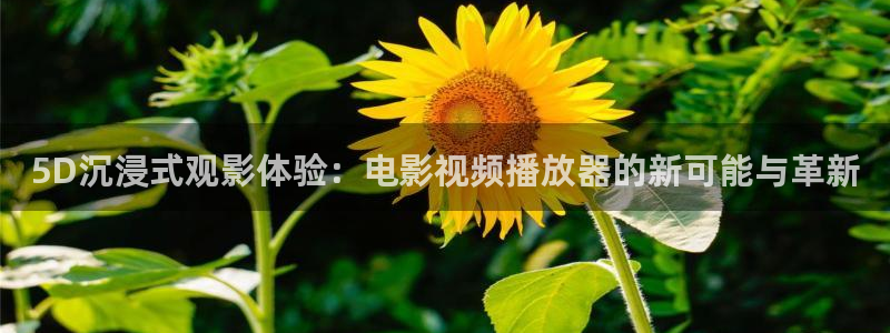 草民网电影电视剧免费完整版：5D沉浸式观影体验：电影视频播放器的新可能与革新