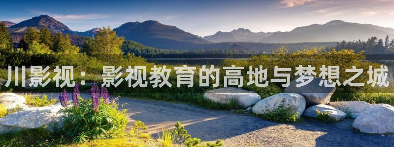 草民网在线观看